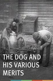 Les chiens et ses services