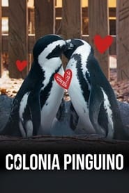 Colonia Pingüino