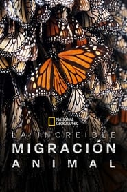 La increíble migración animal