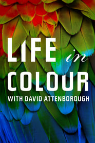 La vida a todo color, con David Attenborough